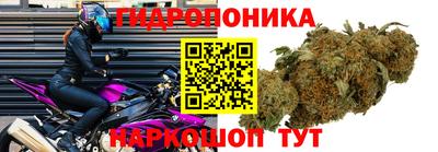 марки lsd Гатчина