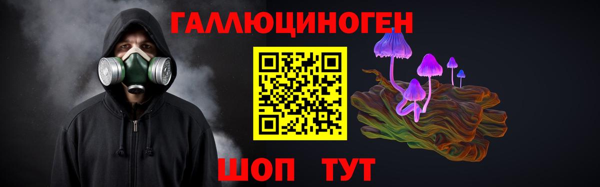 Псилоцибиновые грибы GOLDEN TEACHER Воскресенск